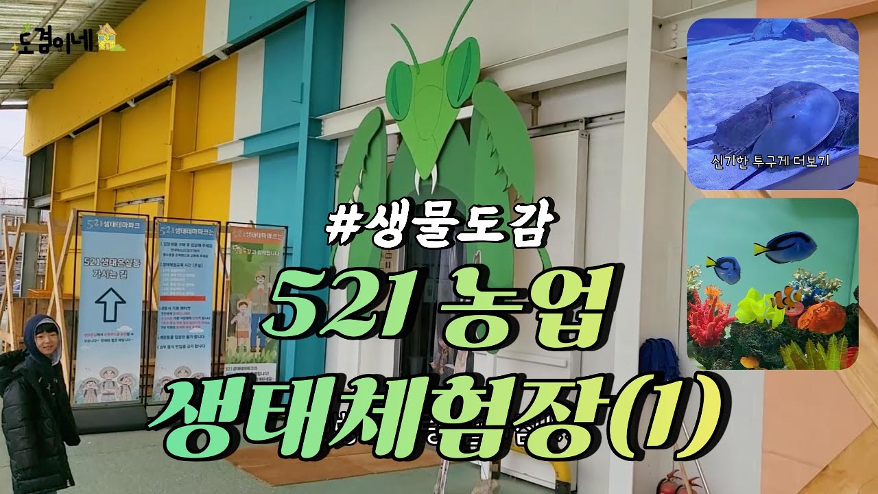 #521생태테마파크 두번째 방문! ep1 #생물도감 💚도겸이네💚