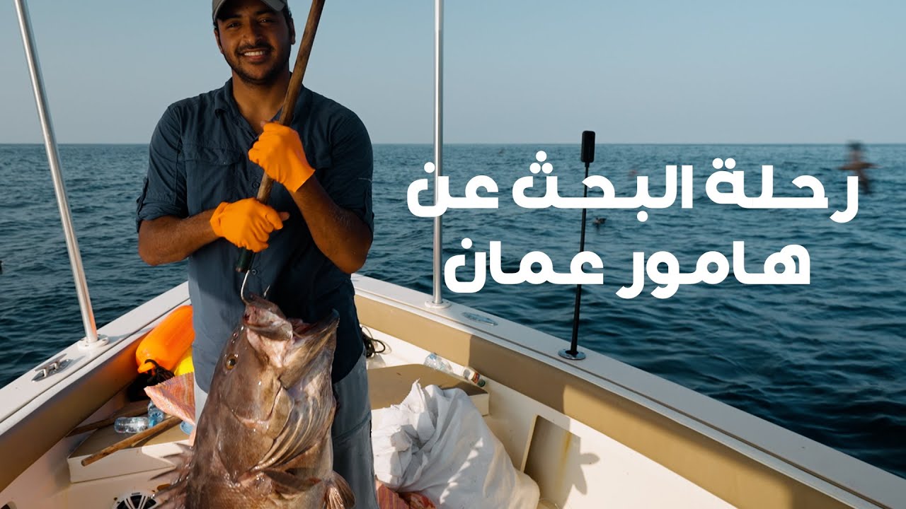 رحلة البحث عن هامور عمان - Omani Grouper