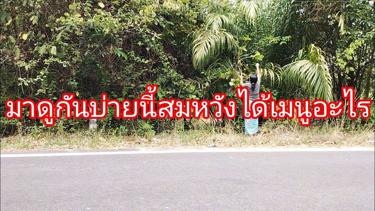มาดูบ่ายนี้สมหวังได้เมนูอะไรลำเพลิน show official