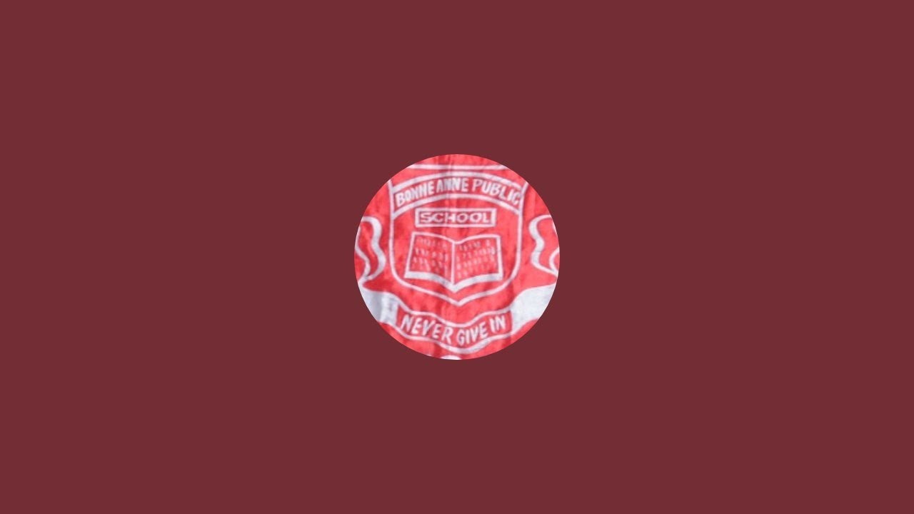 Bonne Anne Public School is live!