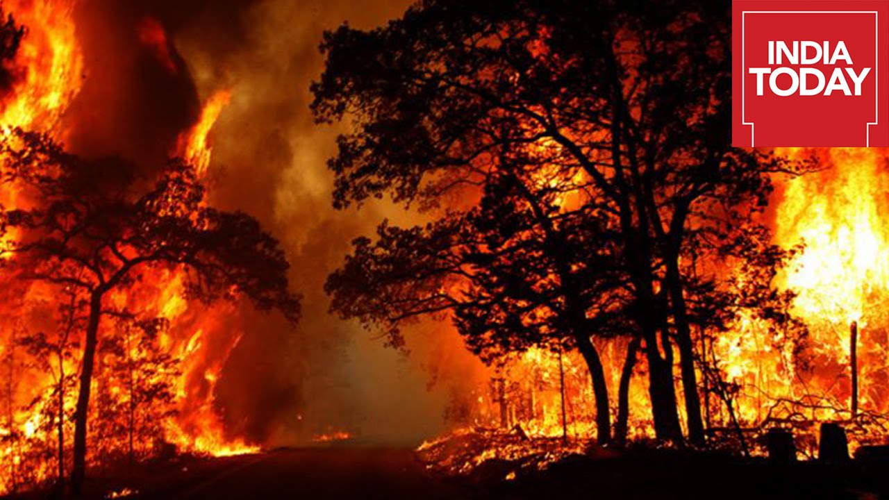 Raging Inferno in Uttarkhand Destroy 3000 Acres Of Forest