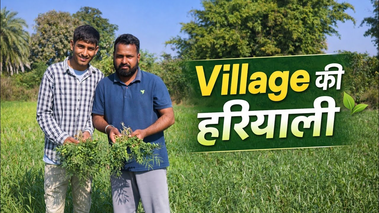 “Gaon की Haryali 🍃 | Village Life Vlog”“Haryali भरा Gaon 🌿 | Green Village Tour”