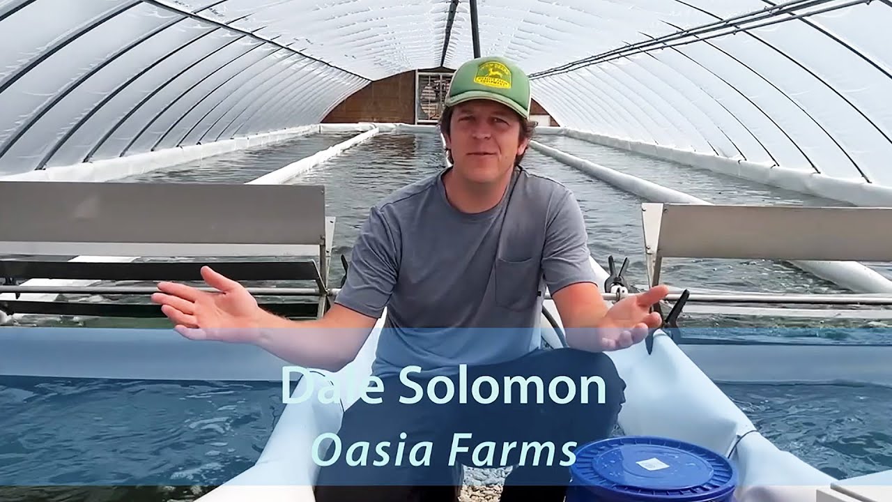 Dale Solomon • Oasia Farms • Spirulina Voices