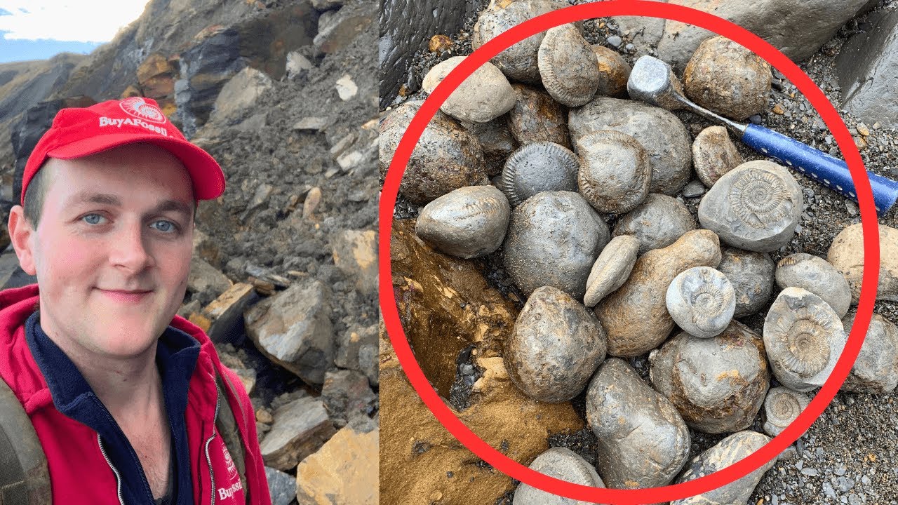 MEGA Fossil Haul! - Lucky Timing?