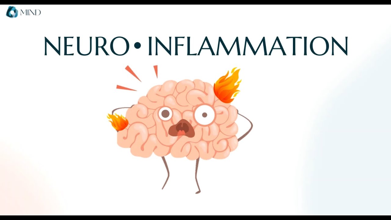 Elements of Science | Neuroinflammation