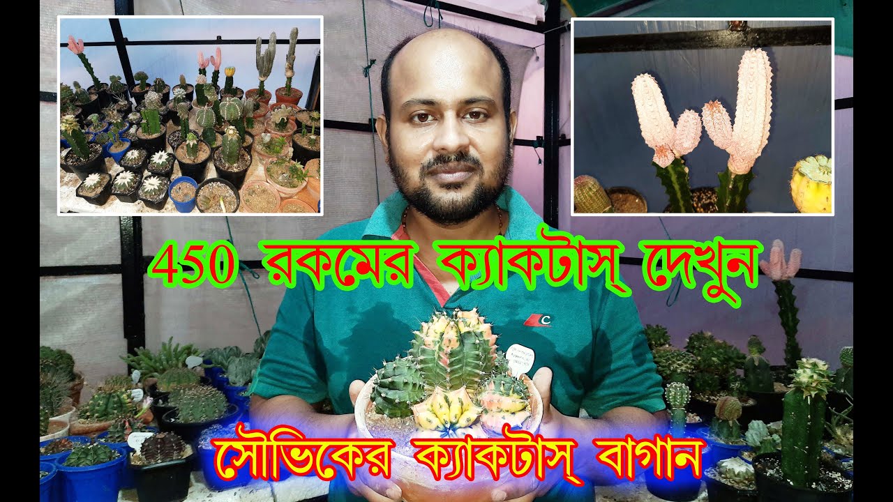 Souviks Cactus Garden Overview // সৌভিকের ক্যাকটাসের বাগান