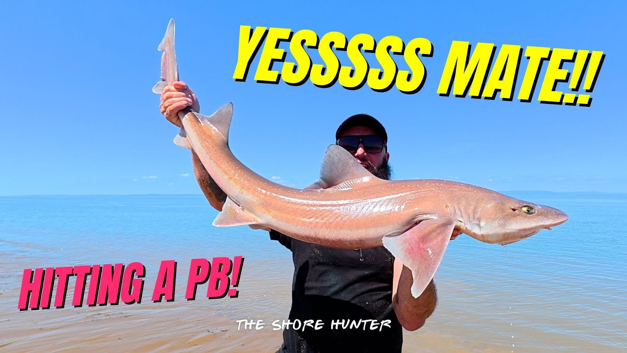 NEW PB Smooth Hound! Epic Bristol Channel Session 🔥 | Fishing With Wayne 🎣