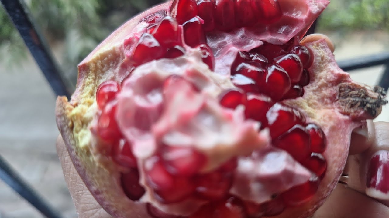 Top secrets of Pomegranate l best for toddler's l