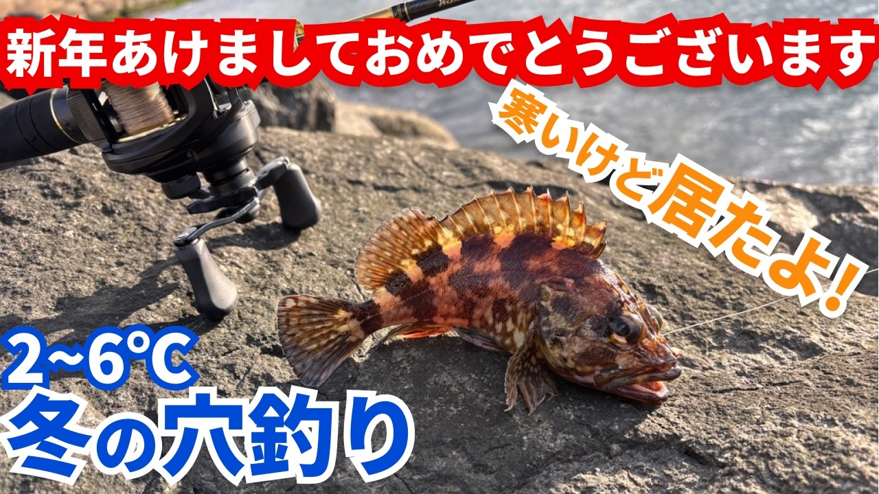 【新年あけおめ!!】厳冬期は、まったり穴釣り調査♪今年もよろしくお願いします！ in知多半島｜#vlog #釣り初心者 #カサゴ #メバル #ソイ #アイナメ #マゴチ #fishing #海釣り