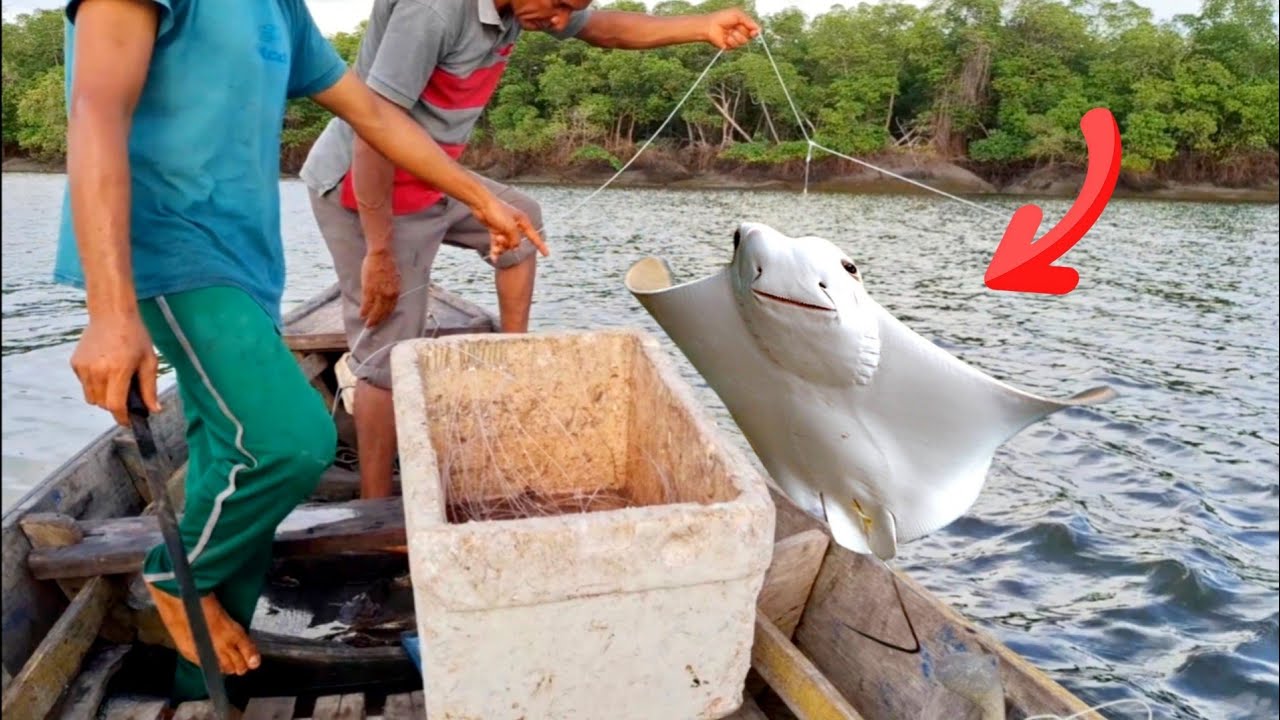 Pegamo BASTANTE pacamão NA PESCARIA de RABADELÃO 