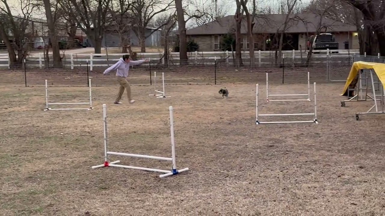Miri Elite Jumpers Heart Round 1 Feb 17 2026
