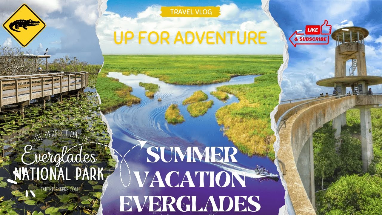 Everglades Vacation Day - Shark Valley, Everglades National Park, Airboat Ride, SkunkApe, Ochopee
