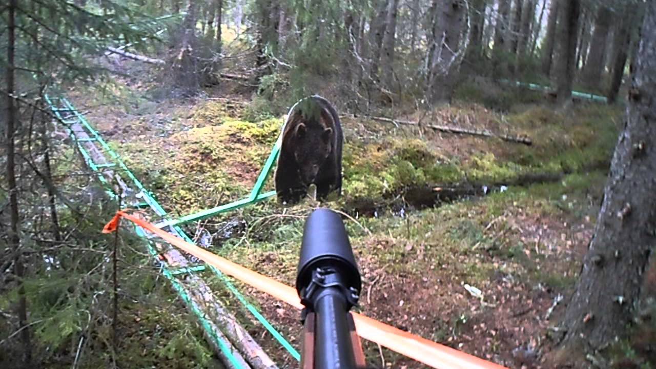 Bj&ouml;rnskytte dag 2, ND Jakt och Skytte AB