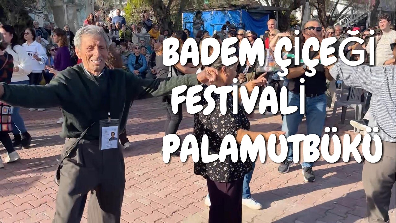 MUĞLA DATÇA PALAMUTBÜKÜ BADEM ÇİÇEĞİ FESTİVALİ #MUĞLA #DATÇA #BADEMÇİÇEĞİFESTİVALİ