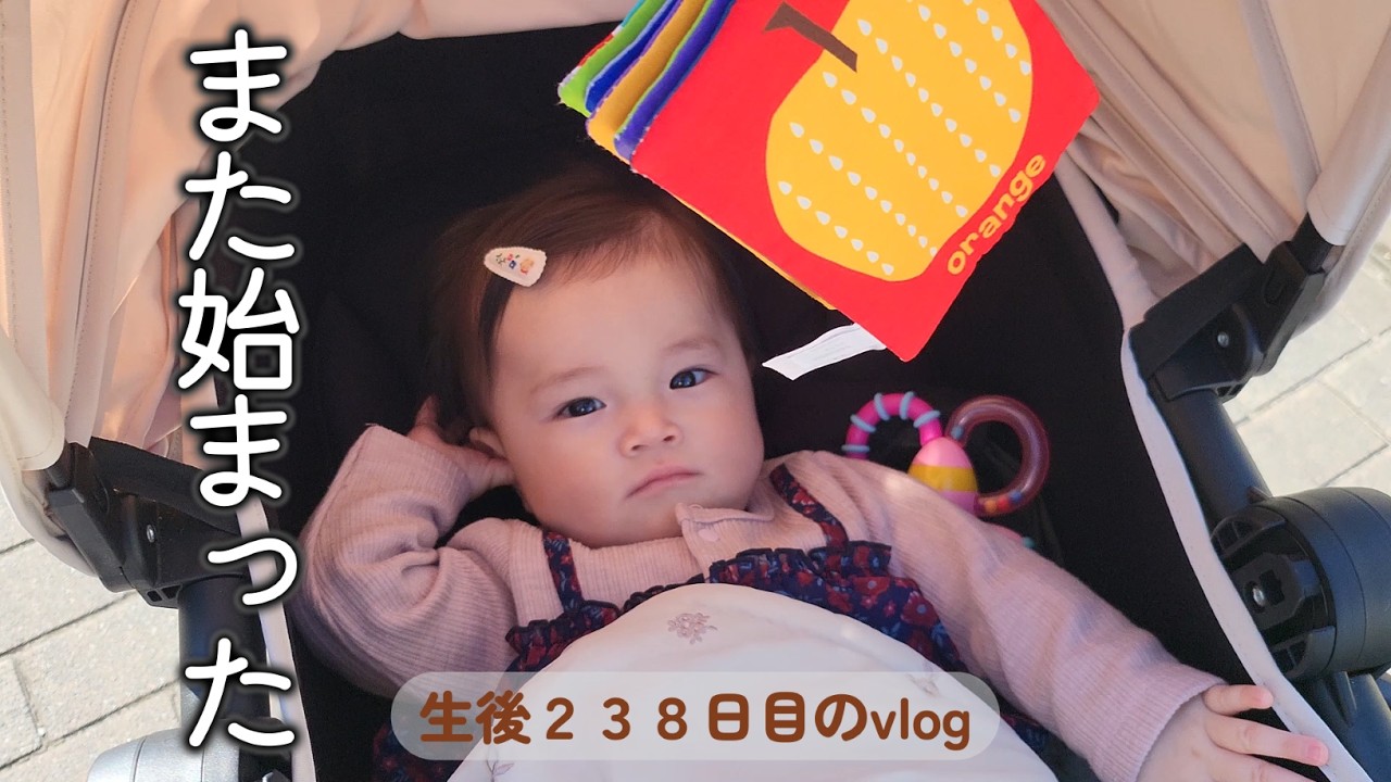 生後238日目 また始まった｜里帰りなし,1LDK,完母育児,生後7ヶ月,vlog