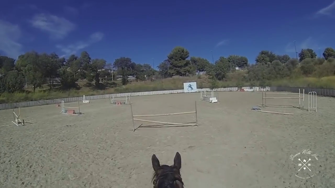 LES DIFFERENTS PROFILS D'OBSTACLES EN CSO  🐴