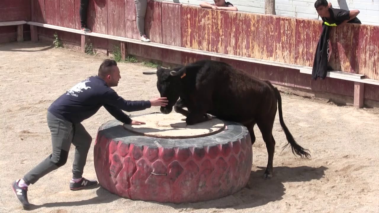Capea El Gemelo video 7 4 2019