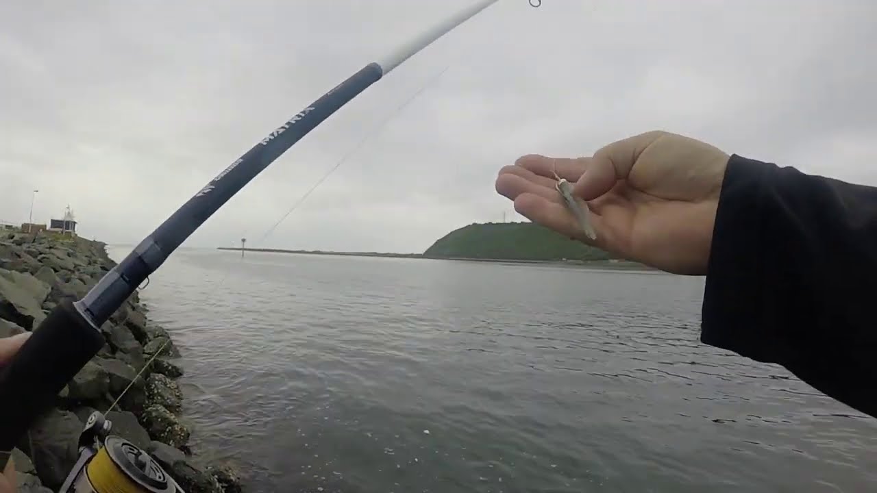 North Pier Fishing with Soft and Hard baits – Durban Harbour