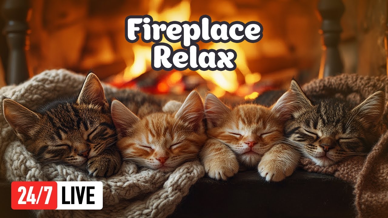 24/7 Fireplace Cat Music Live Stream 🔥 Gentle Healing Lullaby For Cats To Sleep All Night