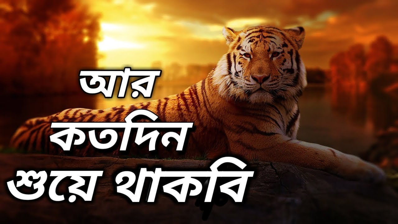 জীবন বদলাতে হলে এটা শোনো || Best Powerful Motivation Video in Bangla || Bangla Motivation speech
