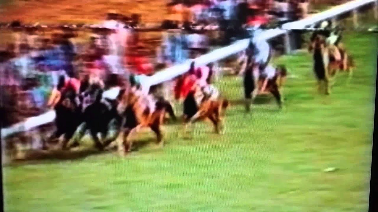 Royal Colours wins The Hopeful Stakes