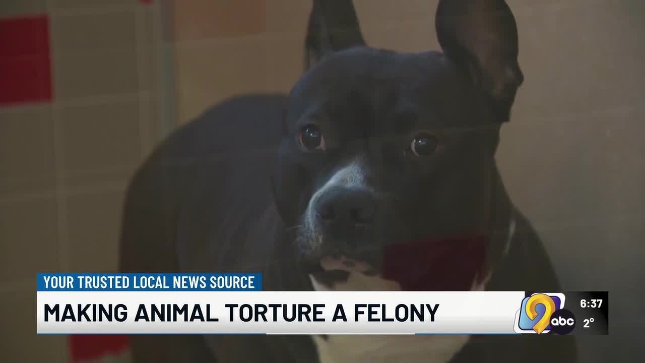 Advertisement Animal Rescue League of Iowa calls on lawmakers to make animal torture a felony