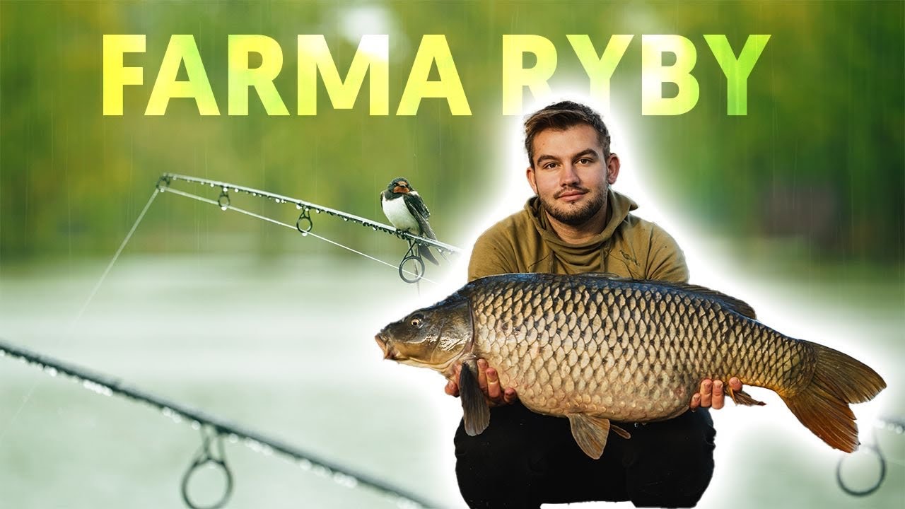 Farma-Ryby Opatovce- rybolov