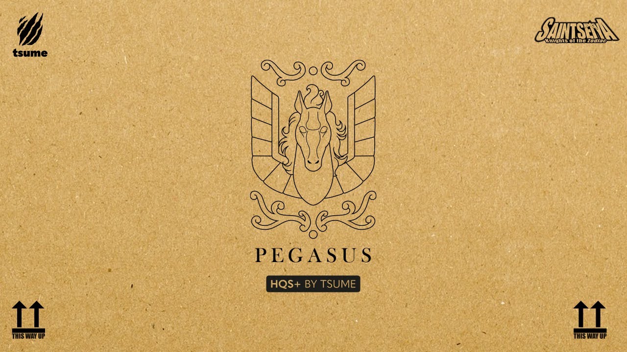 Unboxing Pegasus HQS+ by Tsume