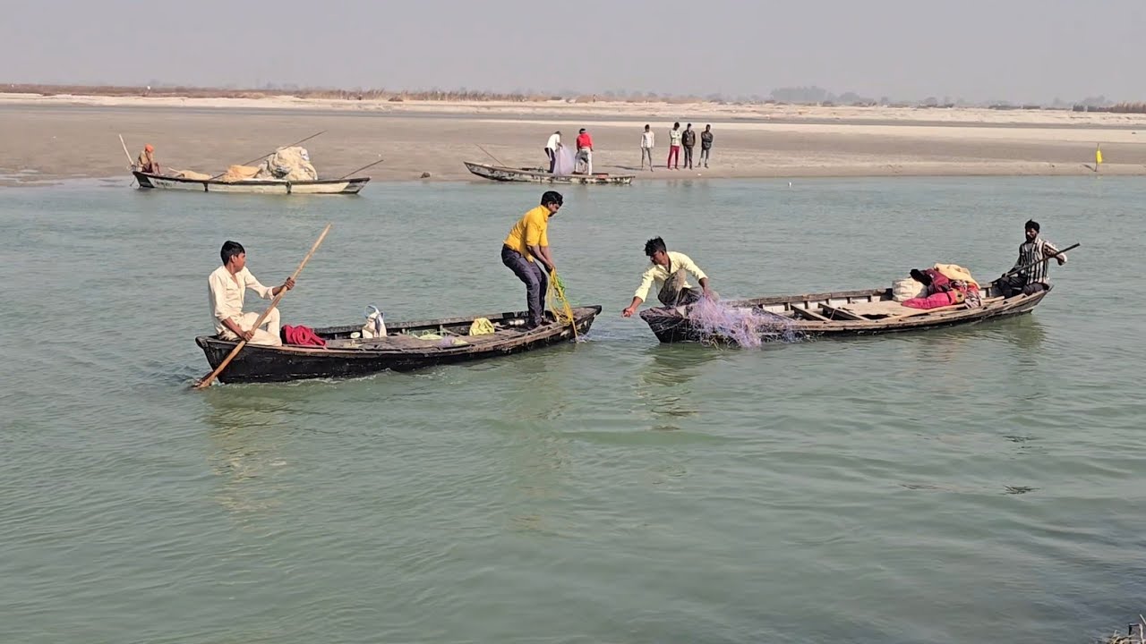 How can it be possible to catch such a big fish in a small net #fishhunting2 #Netfishing #Virelvideo