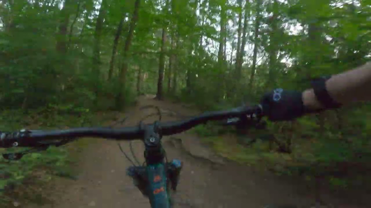 North Road Trail Top to Bottom