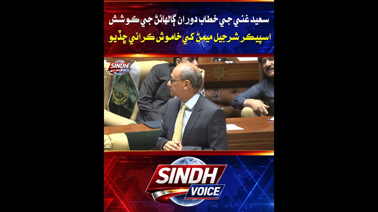 Speaker Silences Sharjeel Memon During Saeed Ghani&rsquo;s Speech in Sindh Assembly