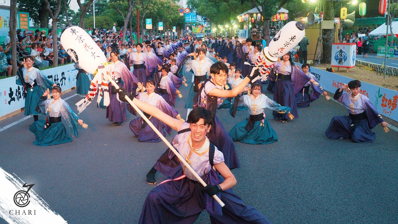 【8K】早稲田大学 東京花火『天つかさ』（2024よさこい全国大会 / Tokyo Hanabi 2024 “Amatsukasa”）【+BONUS】