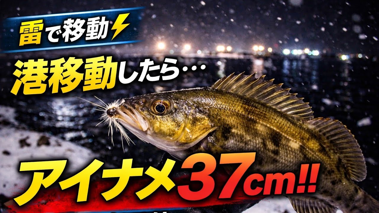 雷で港移動したら…アイナメ37cm【ジグヘッド毛針】