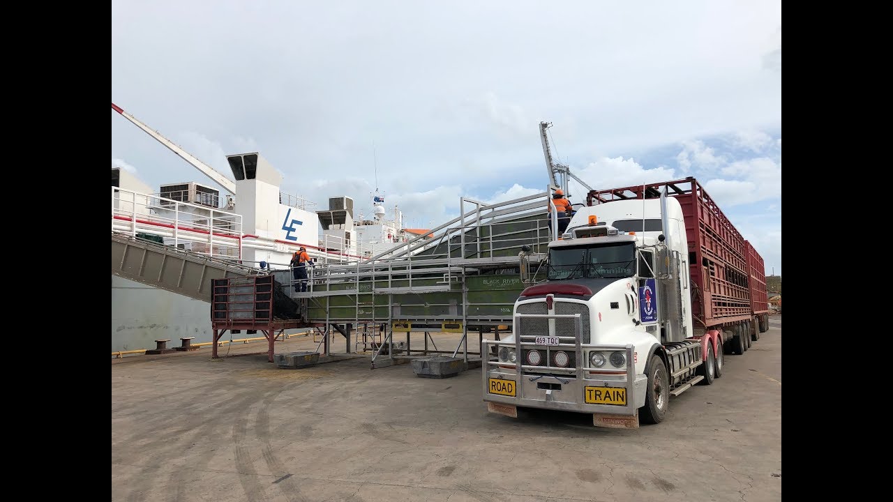 ABC: Northern Australia's first live export of cattle to China