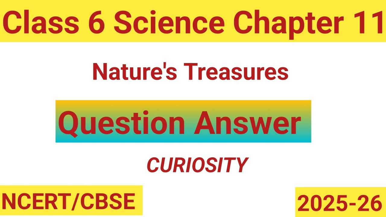 Class 6 Science Chapter 11 | Nature's Treasures |Question Answer |Curiosity Class 6