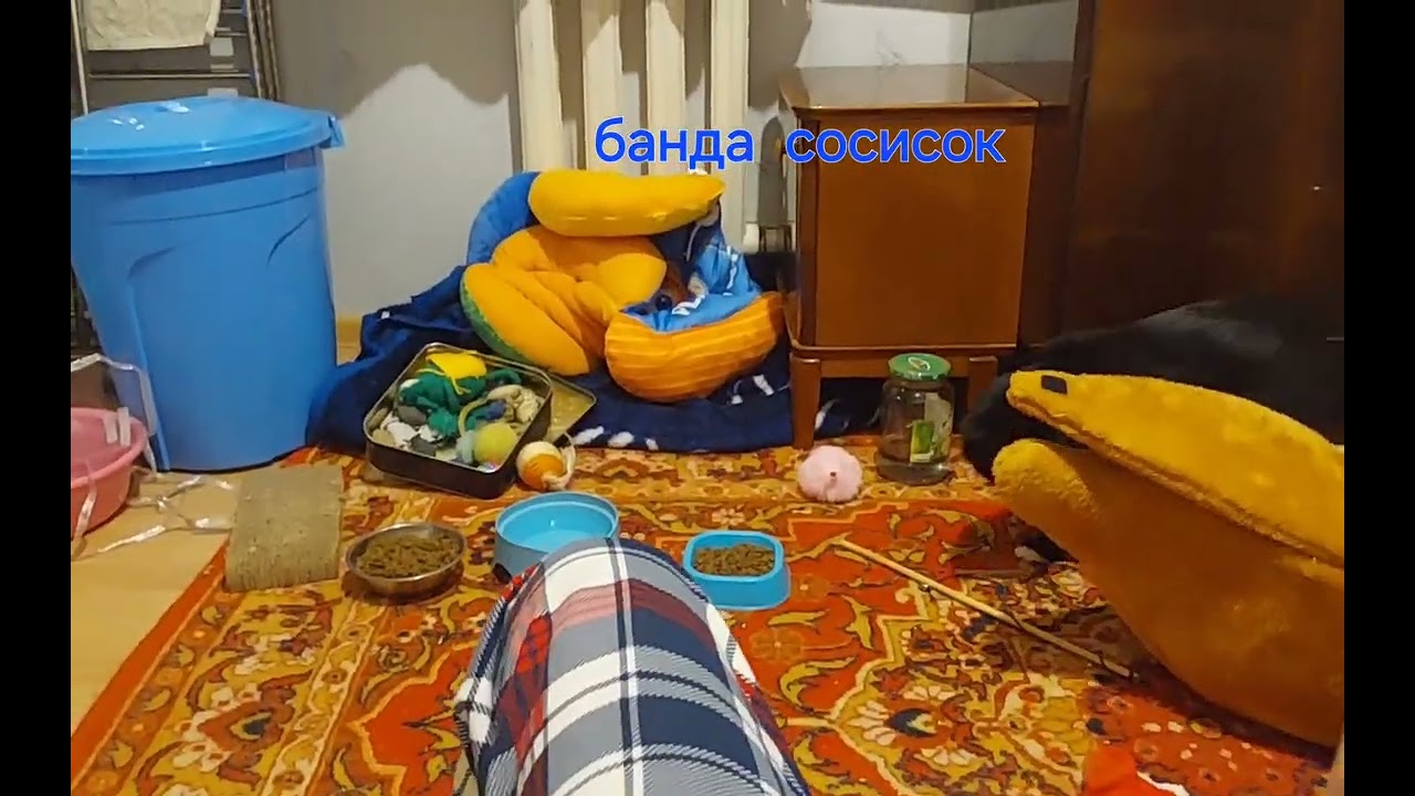 13 марта 2026 г.