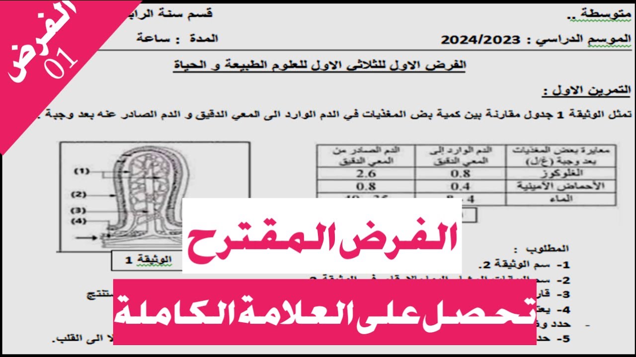 الفرض الاكثر اقتراحا 01│ للفصل الاول │ bem 2026
