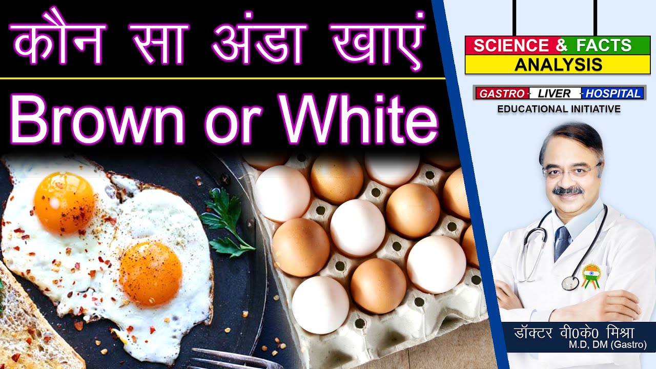 कौन सा अंडा खाएं Brown or white || FEW MYTHS ABOUT EGGS