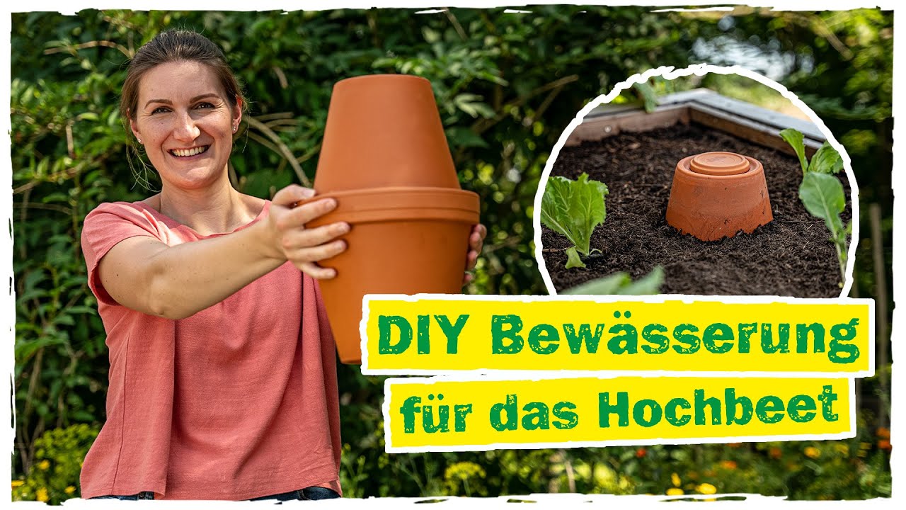 OLLAS: Ein einfaches Bewässerungssystem für deinen Garten 💧