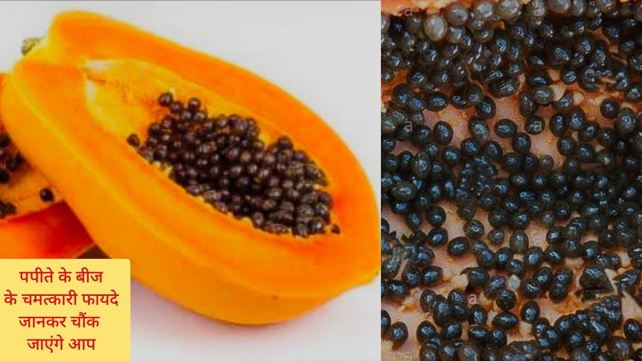 क्यों है पपीते के बीज सोने से भी महंगें? पपीते के बीज चबाने के फायदे Benefits of Papaya Seeds