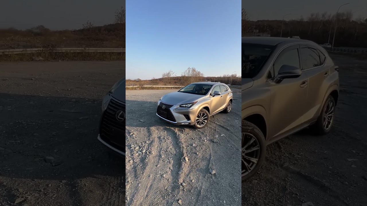 Куплен Lexus NX300 Version L из Японии 🇯🇵 #автоизкитая #автоизкореи #автоизяпонии