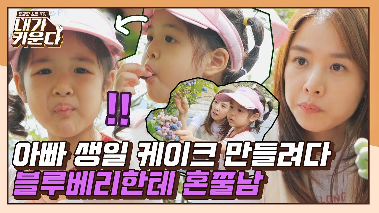 [#확끌립] 험난한(?) 로아의 아빠 생일 케이크 만들기💦 💜블루베리💜 수확 대작전 | JTBC 210827 방송