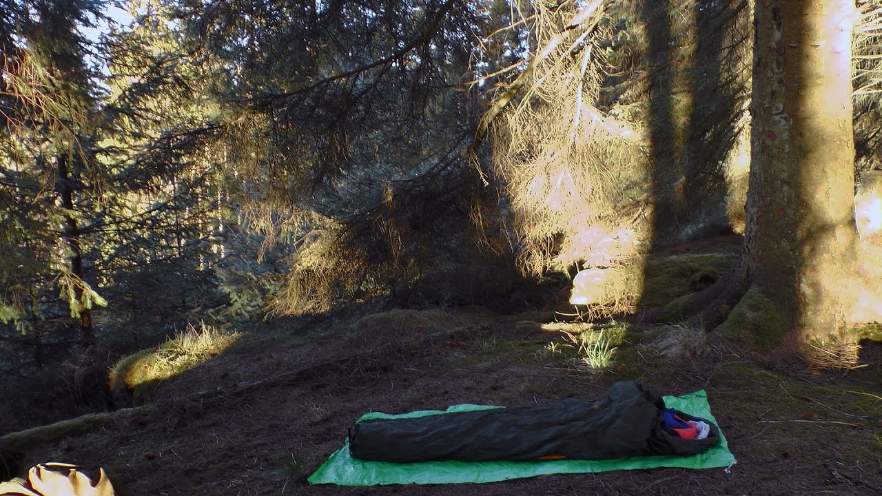 Kielder Forest Rant And Wild Camp