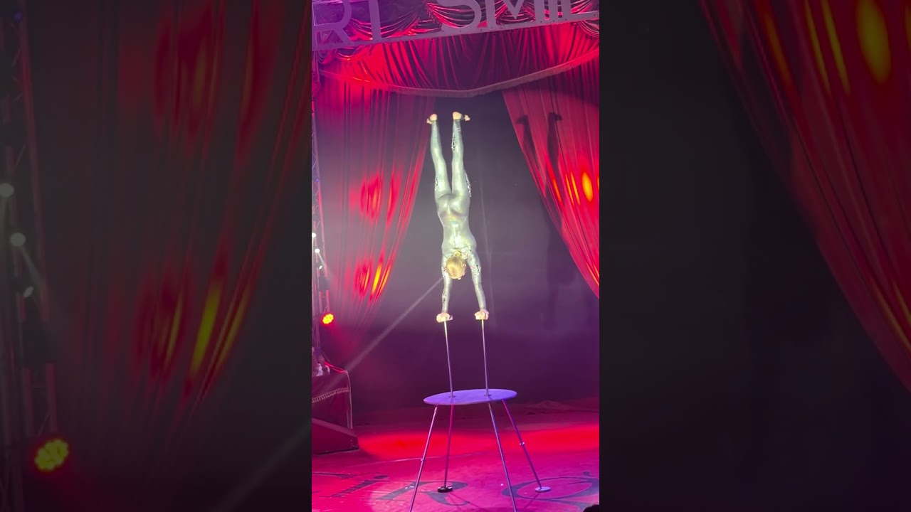 Cirque Spectra Art&Smile