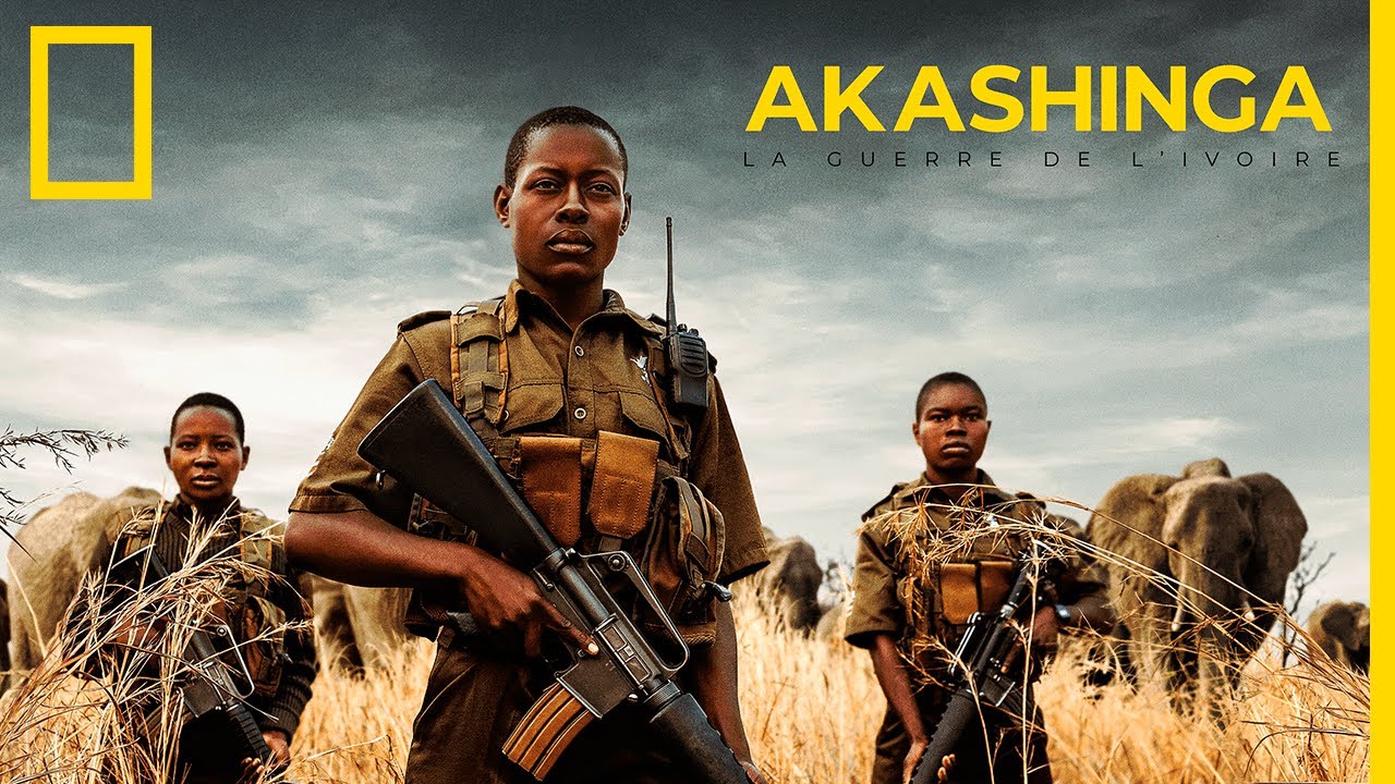 AKASHINGA : La guerre de l'ivoire | Court-m&eacute;trage de James Cameron, exclusivit&eacute; YouTube