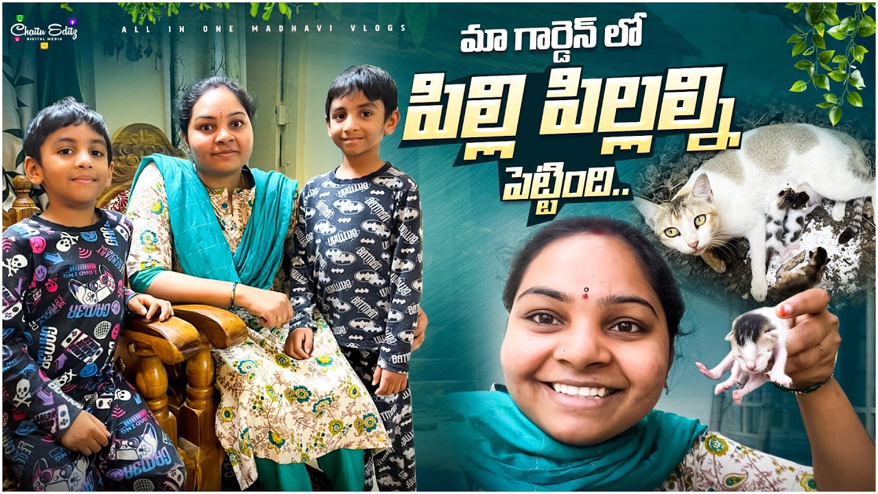 ఈ రోజు ఎండు నెత్తలు వంకాయ కూర వండాను || గార్డెన్ లో పిల్లి పిల్లల్ని పెట్టింది || All in one Madhavi