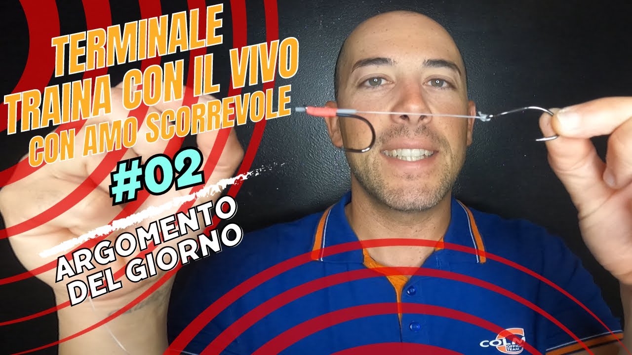 #02 TRAINA CON IL VIVO - MONTATURA AMO SCORREVOLE
