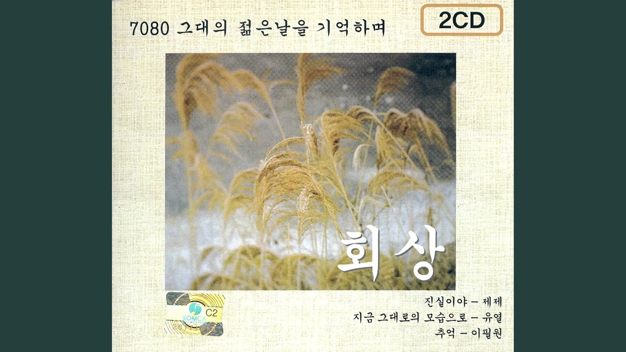 난 바람 넌 눈물