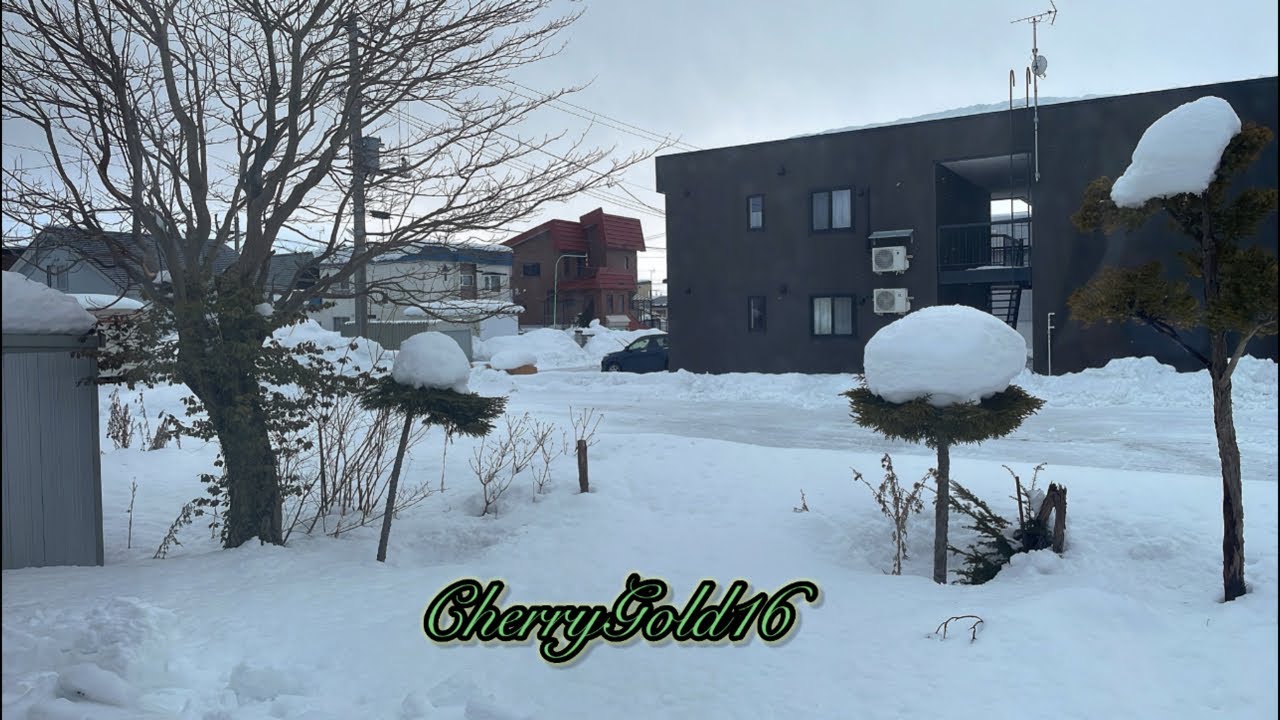 SNOWFALL IN JAPAN 🇯🇵❄️#snow #hokkaidolife #hokkaidojapan #trending #snowday