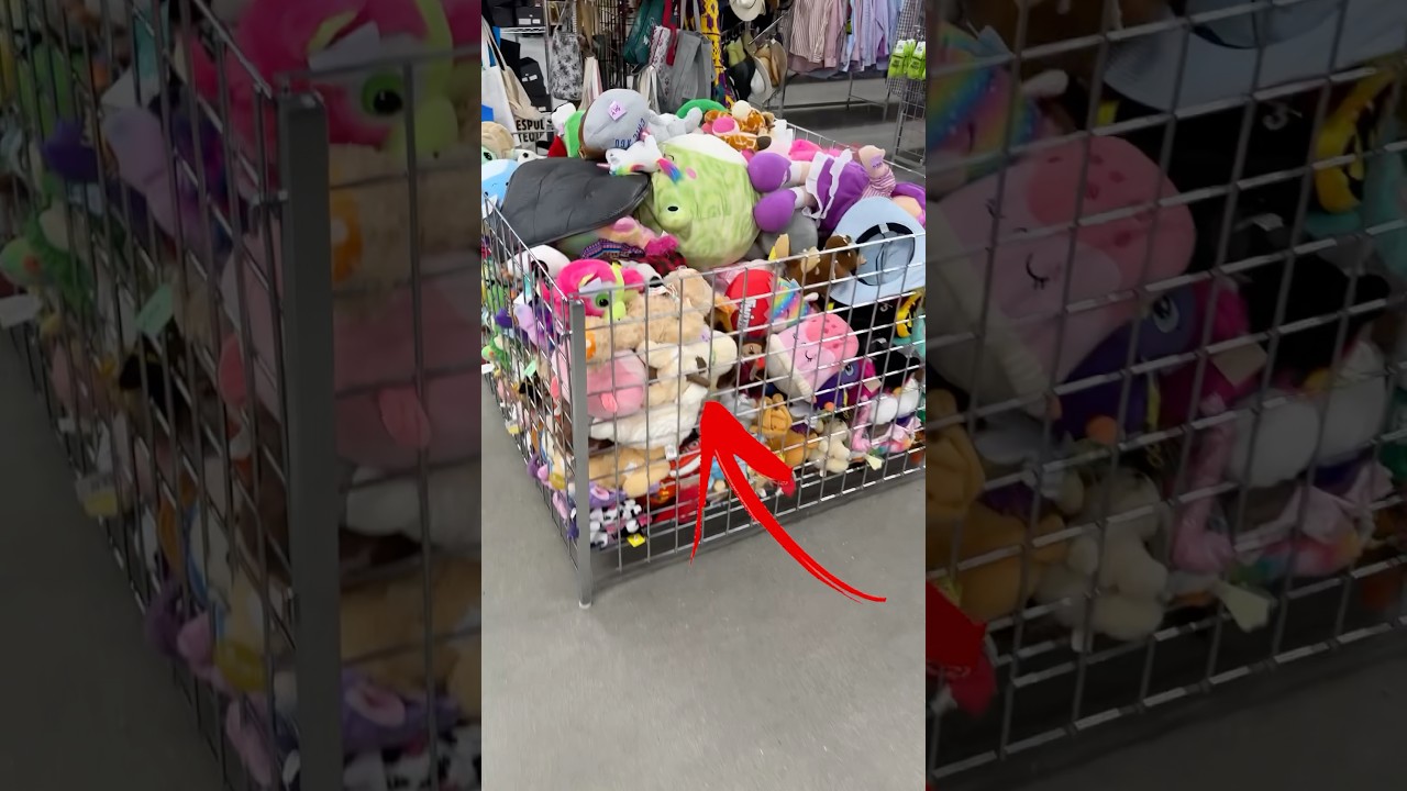 Don&rsquo;t walk past this easy money at thrift stores!